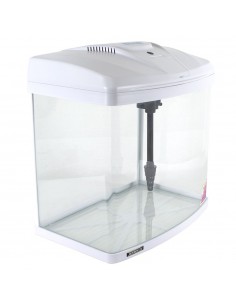 Acquario bombato 25 lt 2