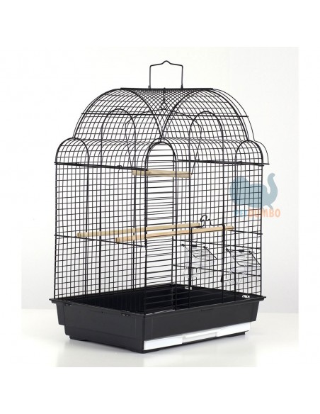 Gabbia canarini, cocorite, bengalini e altri piccoli uccelli