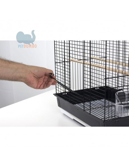 Gabbia canarini, cocorite, bengalini e altri piccoli uccelli