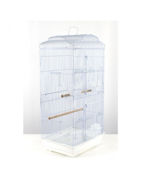 Gabbia calopsite, cocorite, bengalini e altri piccoli uccelli