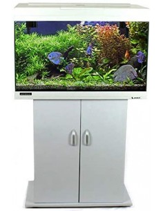 Acquario completo con...