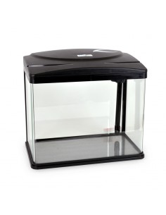 Acquario da tavolo 2