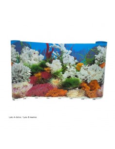 Carta decorativa double-face acquario 2